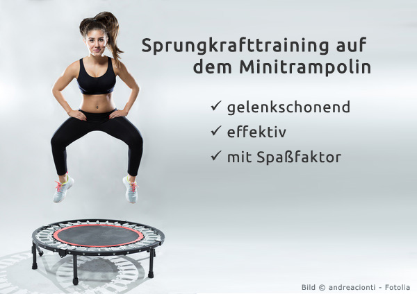 Sprungkraft