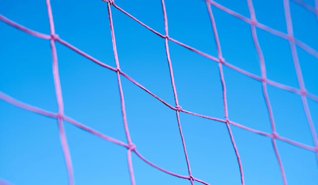 Volleyball 2024: Mit Strategie die Nase vorn haben
