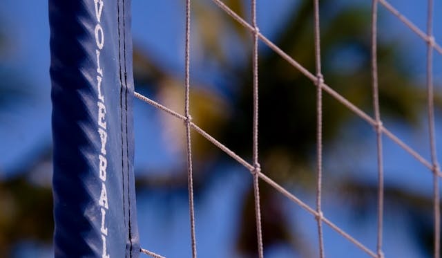 Volleyball im digitalen Zeitalter mit Plattformen wie dem Westace Casino