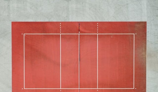 Was Volleyball und Plattformen wie Casino Spinboss gemeinsam haben