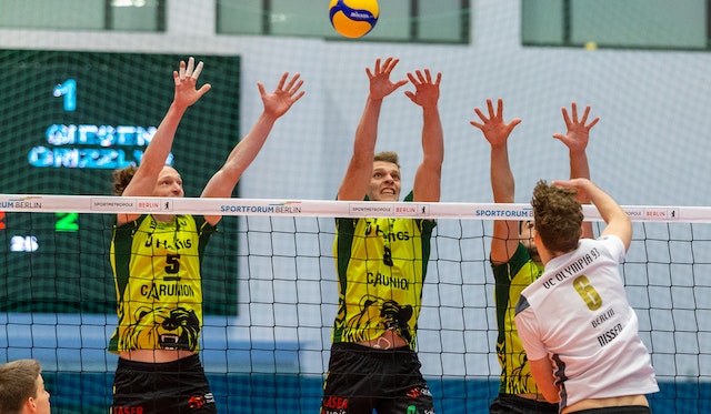 GRIZZLYS mit erwachsener Leistung