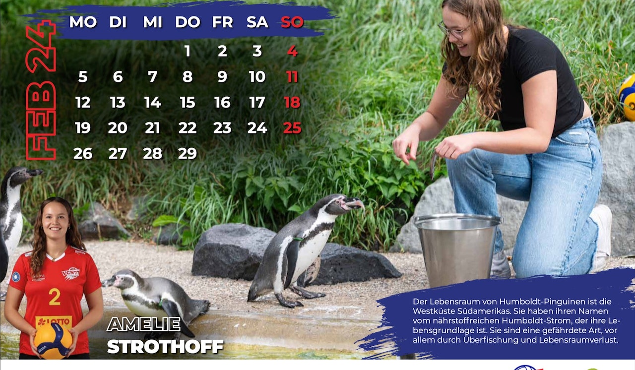 Deichstadtvolleys präsentieren Kalender