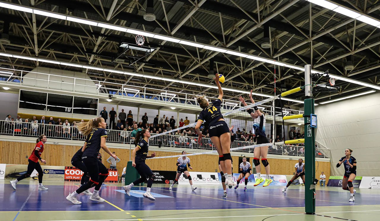 DSHS SnowTrex Köln mit letztem Heimspiel im Jahr 2024 gegen Skurios Volleys Borken