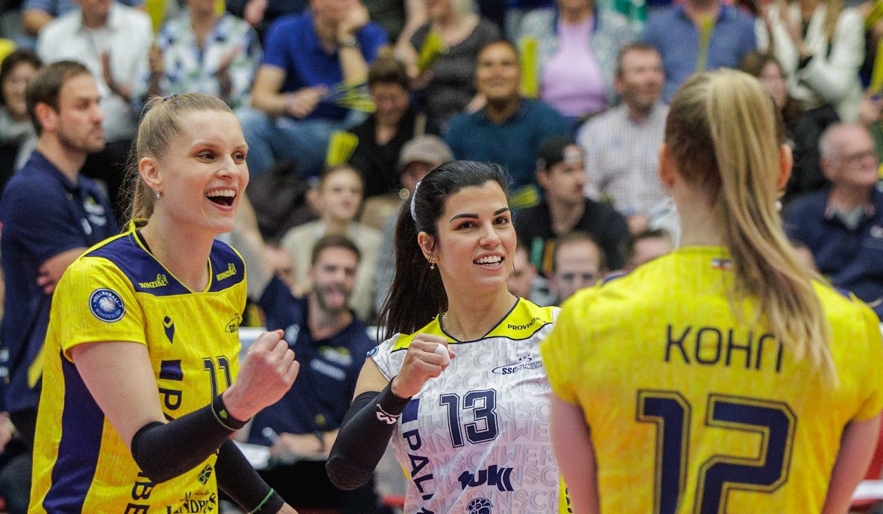 Schwerin empfängt Dresden im Finale