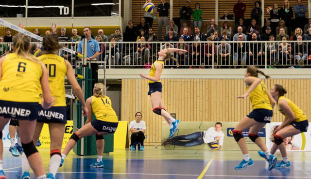 DSHS SnowTrex Köln stoppt Stralsunds Serie