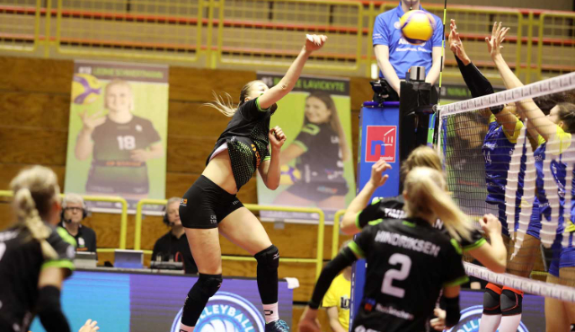 Ladies in Black mit Rückenwind auf dem Weg zum DVV Pokal Viertelfinale