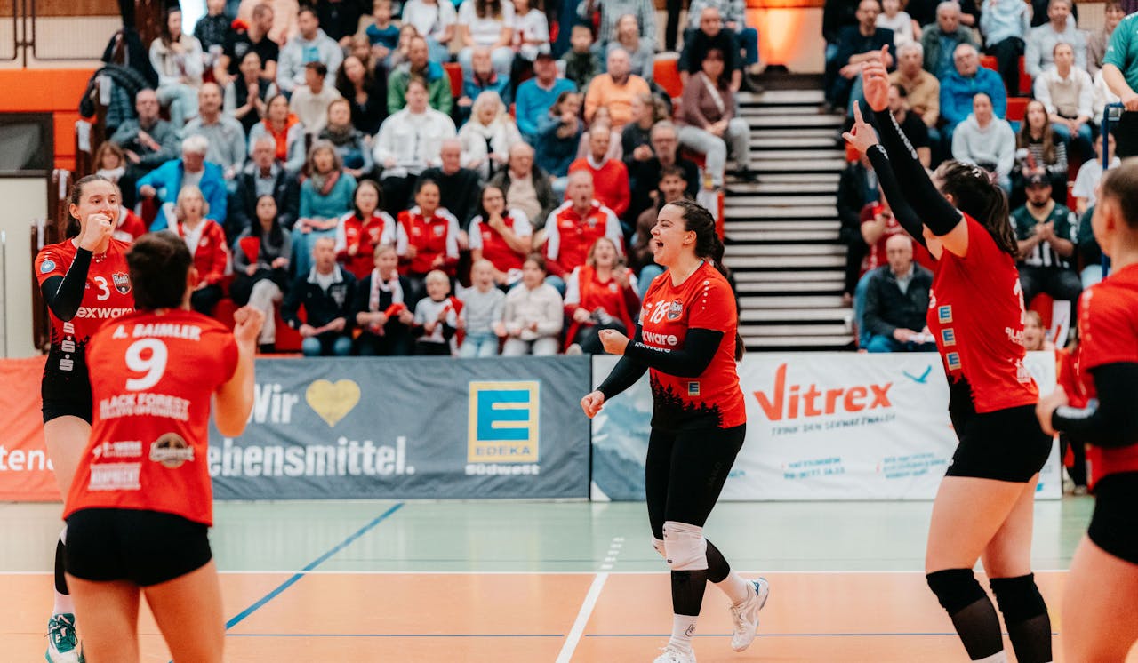 BF Volleys in München gefordert
