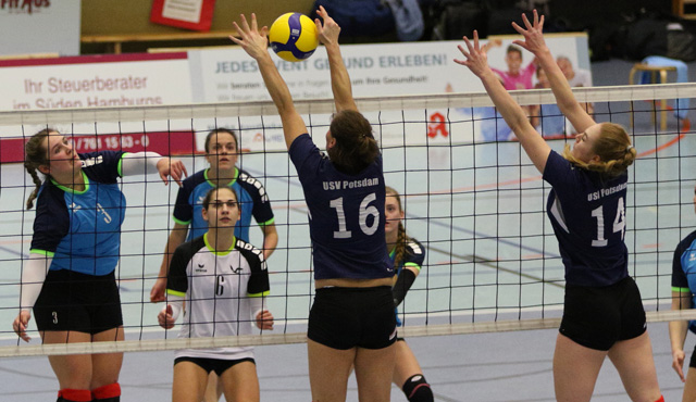 Volleyball-Team Hamburg reist mit Selbstvertrauen nach Potsdam
