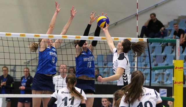 Volleyball-Team Hamburg verliert nach großem Kampf