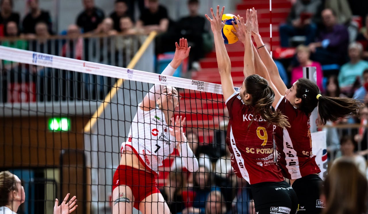 Junges Potsdamer Team unterliegt 0:3
