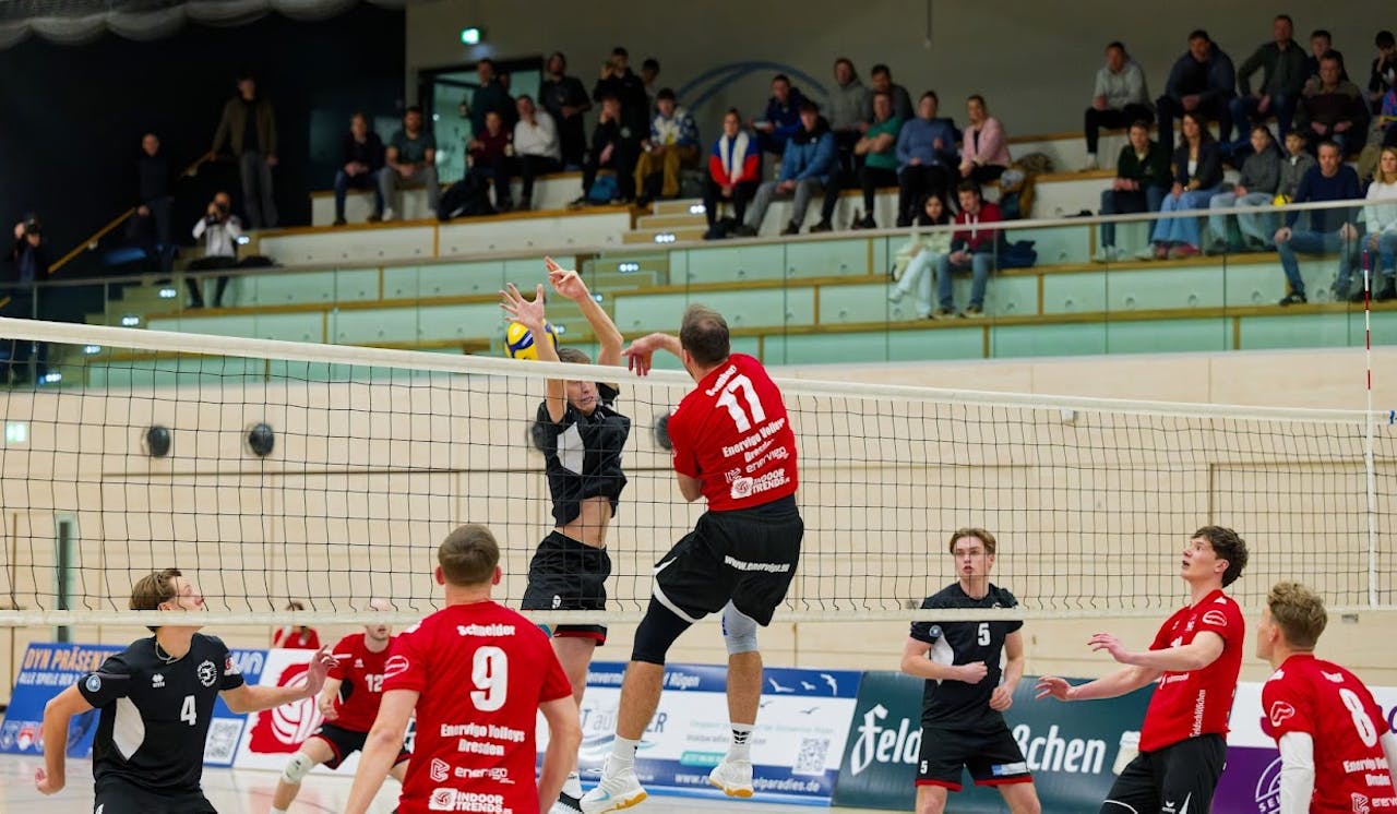 Dresden empfängt den TSV Mühldorf