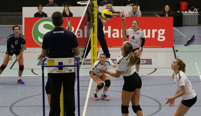 Volleyball-Team Hamburg empfängt den Meister