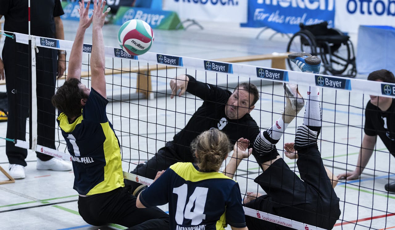 Europäischer Sitzvolleyball Champions Cup wird in Leverkusen ausgespielt