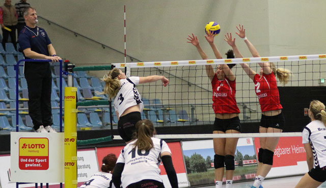 Volleyball-Team Hamburg empfängt die zweite Mannschaft des Köpenicker SC