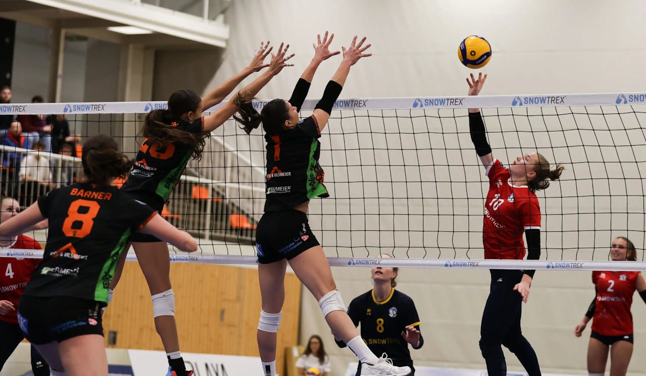 Starker Auftakt, bitteres Ende – DSHS SnowTrex Köln verliert 1:3 gegen NawaRo Straubing