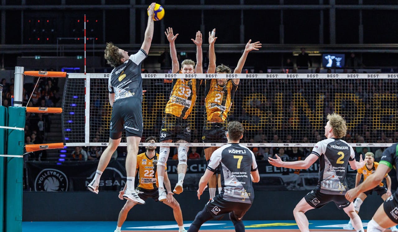 Newcomer gegen Altmeister