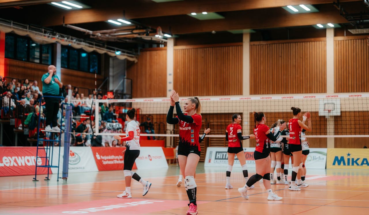BF Volleys bauen Siegesserie aus