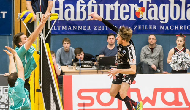 Davids Einstand in Timon-Manier