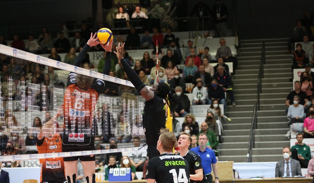 Helios GRIZZLYS: Sensation verpasst!
