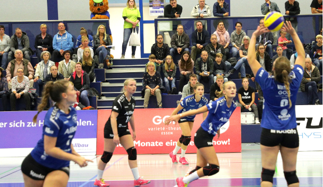 Volleyballleckerbissen zum Jahresabschluss