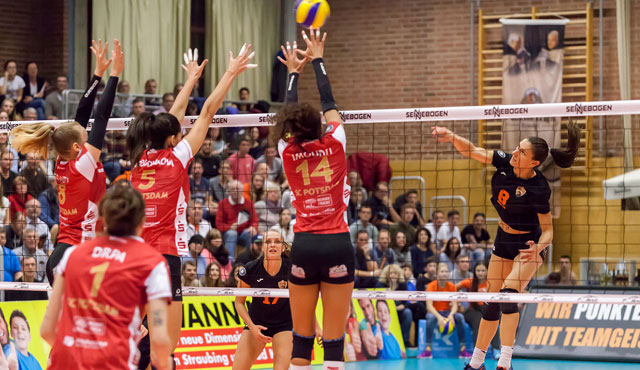 NawaRo beantragt Lizenz für die 1. Volleyball Bundesliga