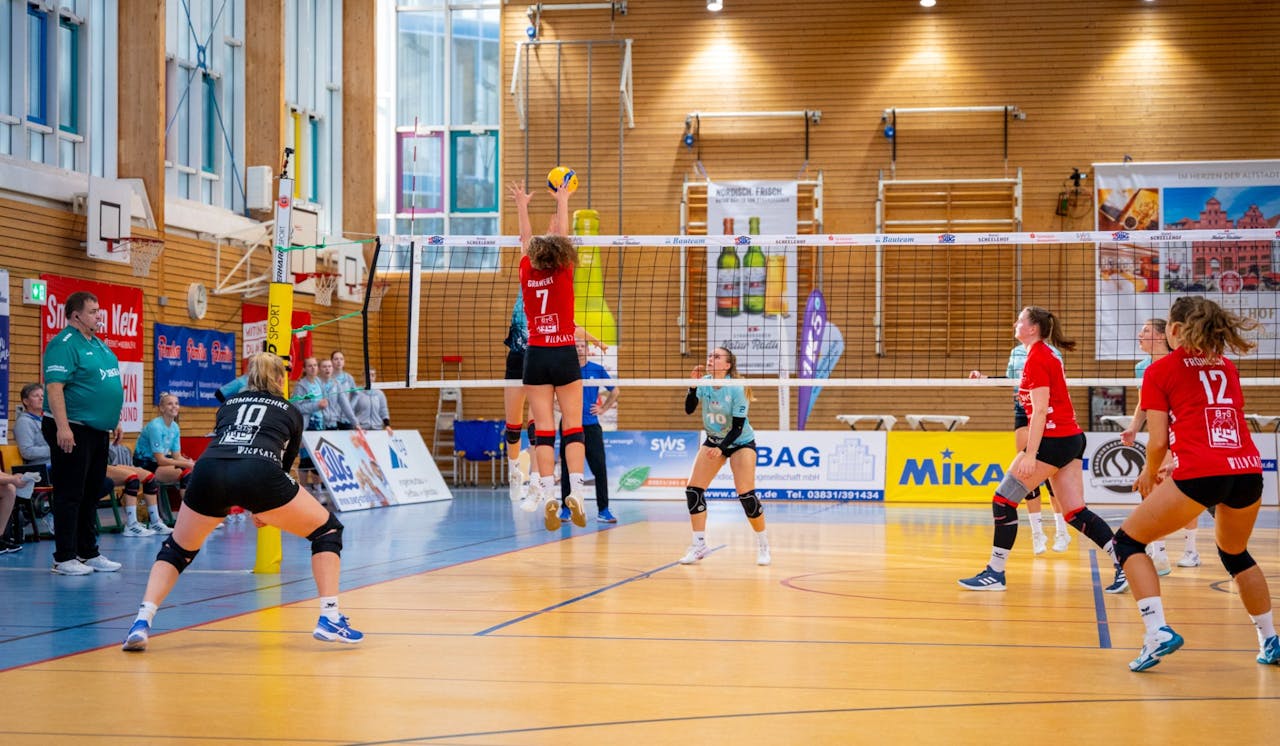 Doppelspieltag der Stralsunder Wildcats