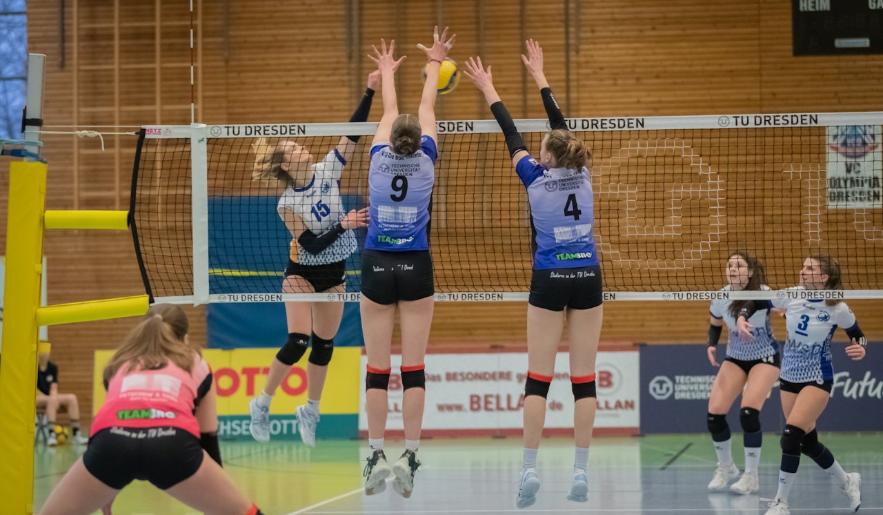 Schwere Aufgabe für den VC Olympia Dresden