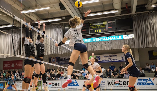 ESA Grimma Volleys : TV Altdorf 3:0
