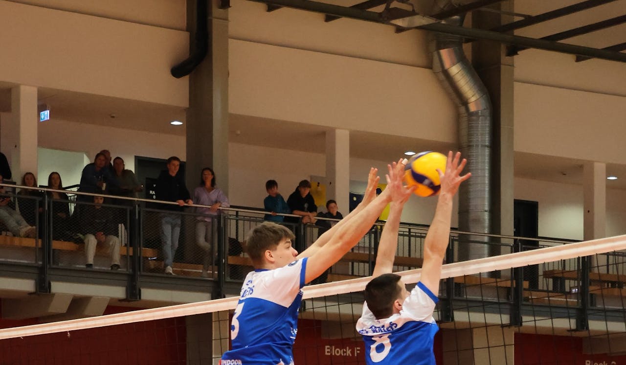 L.E. Volleys unterliegen Barock Volleys