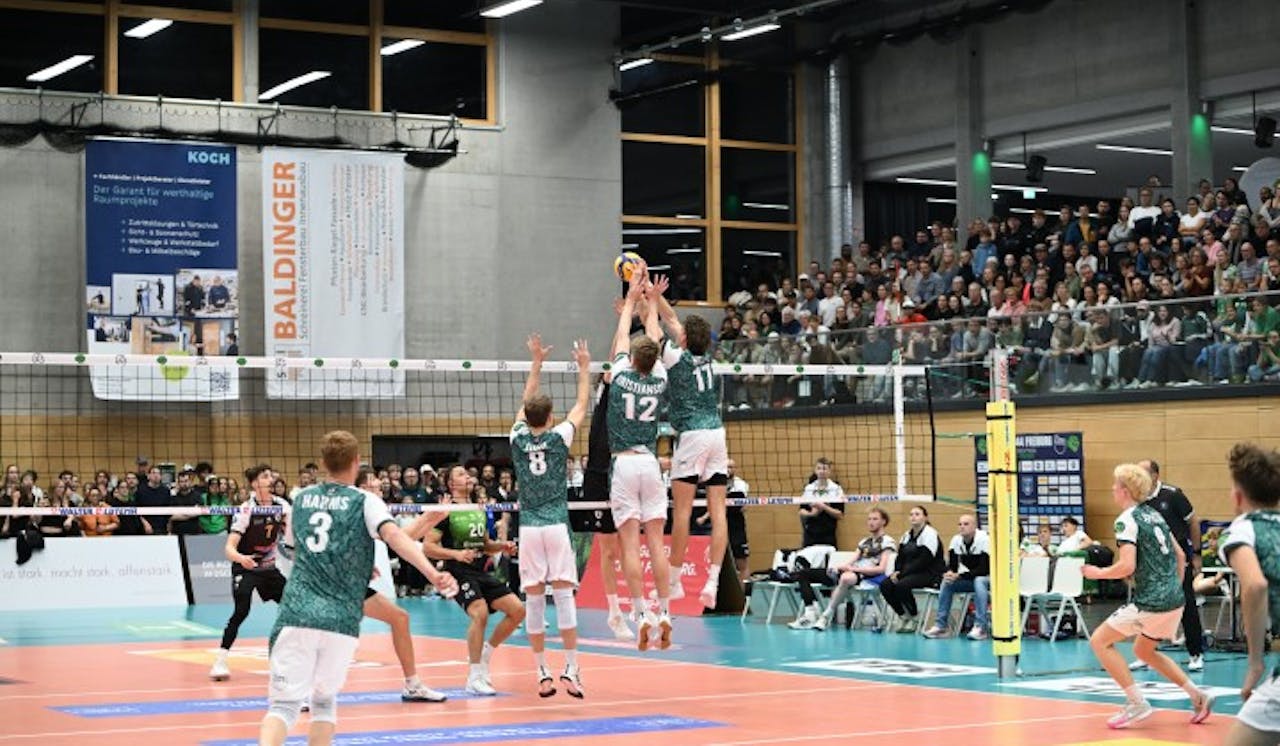 Affen unterliegen Barock Volleys