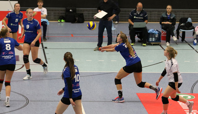 Volleyball-Team Hamburg will sich oben festbeißen