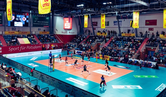 Free-TV: Potsdam vs. Neuwied um 20.00 Uhr