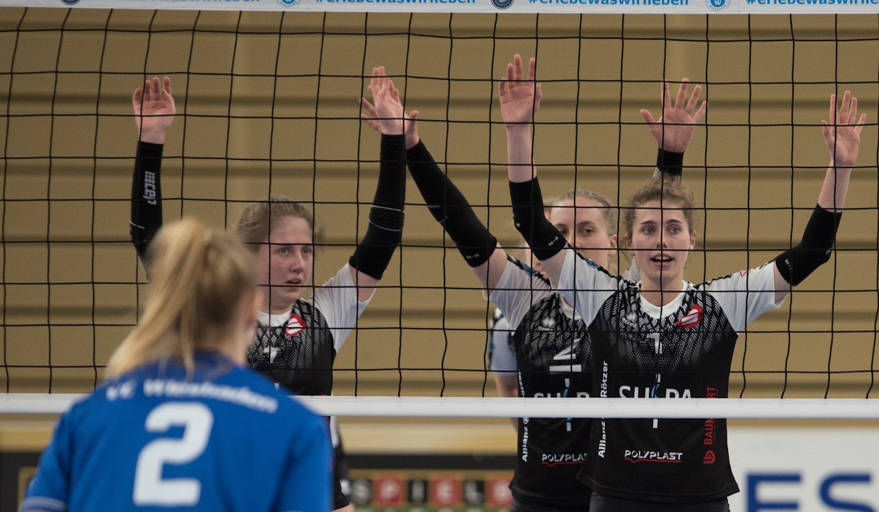 Löwen vs. proWin: Wendepunkt oder Revanche