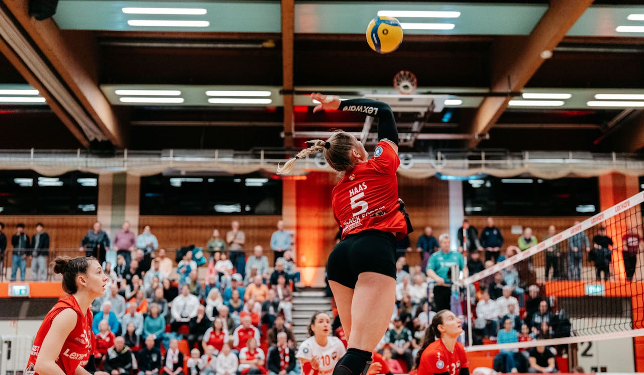 BF Volleys empfangen Altdorf