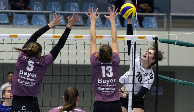 Volleyball-Team Hamburg mit Leidenschaft zum Sieg