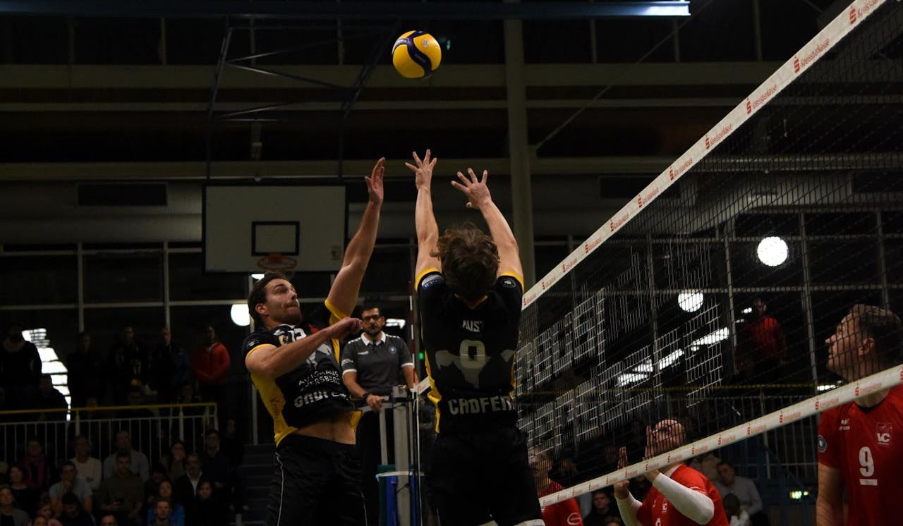 TSV Grafing empfängt Enervigo Dresden