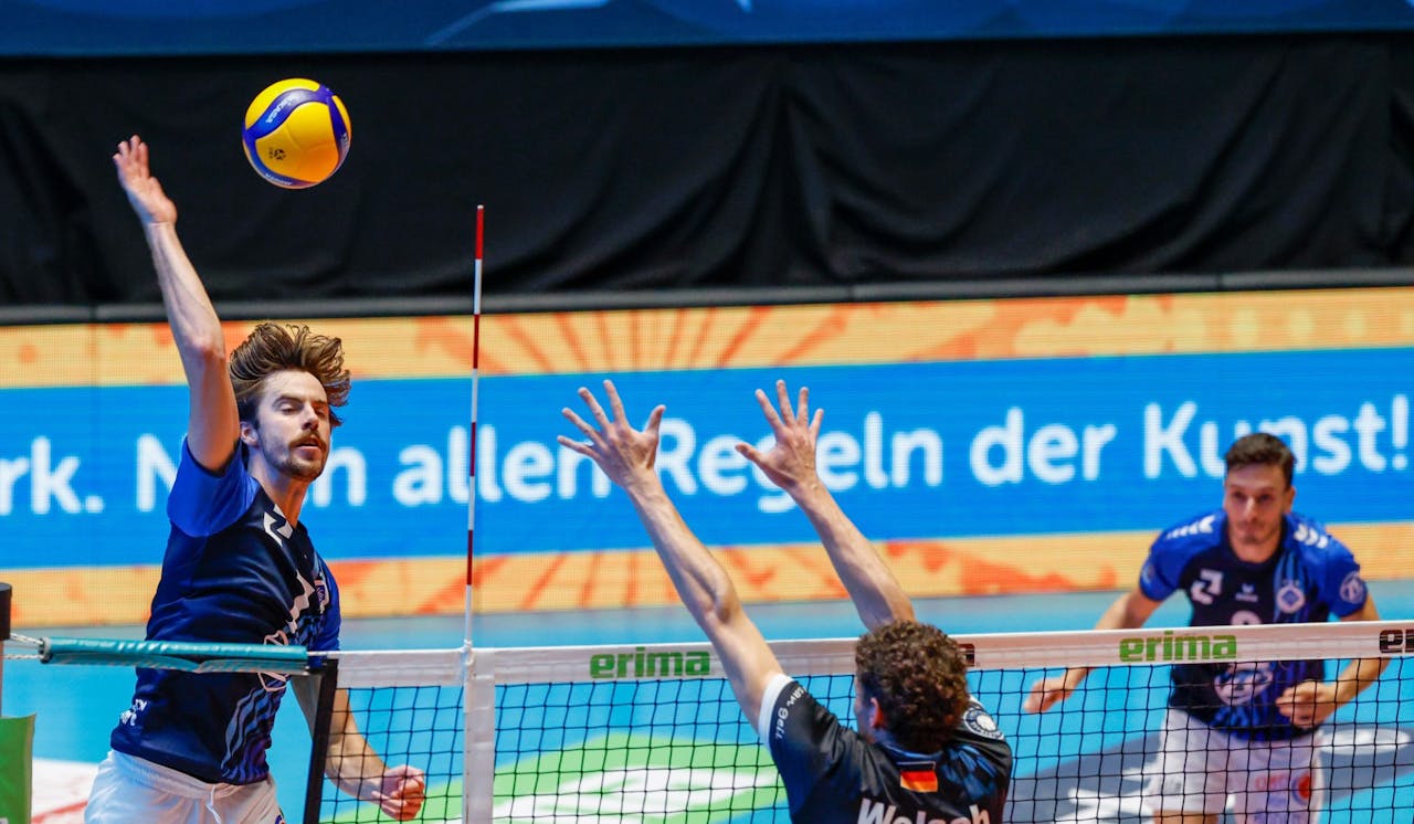 Duell der „Golden Setter“