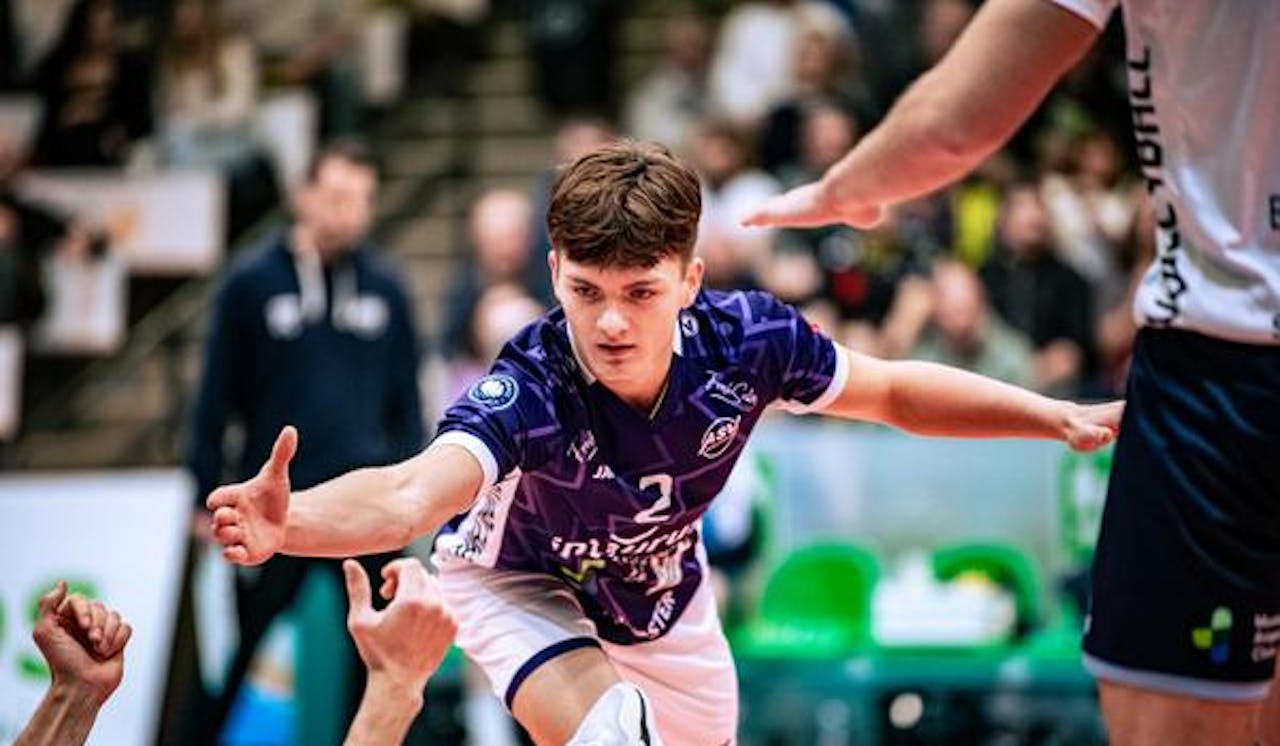 Die Grizzlys zu sehr gereizt