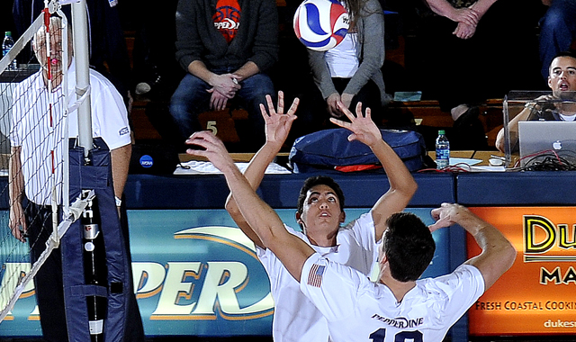 SWD powervolleys: Matt West wird neuer Regisseur