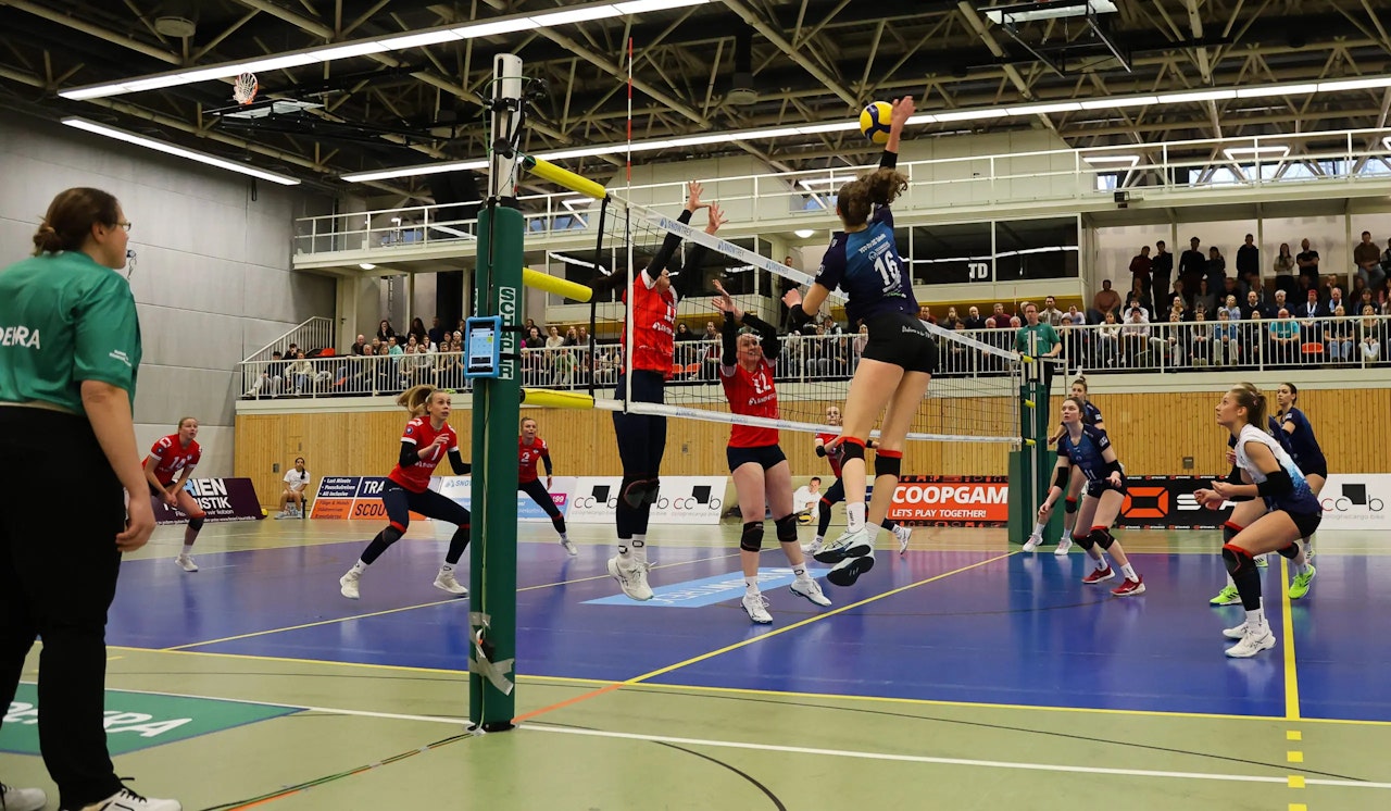 DSHS SnowTrex Köln mit 3:0-Erfolg über VC Olympia Dresden