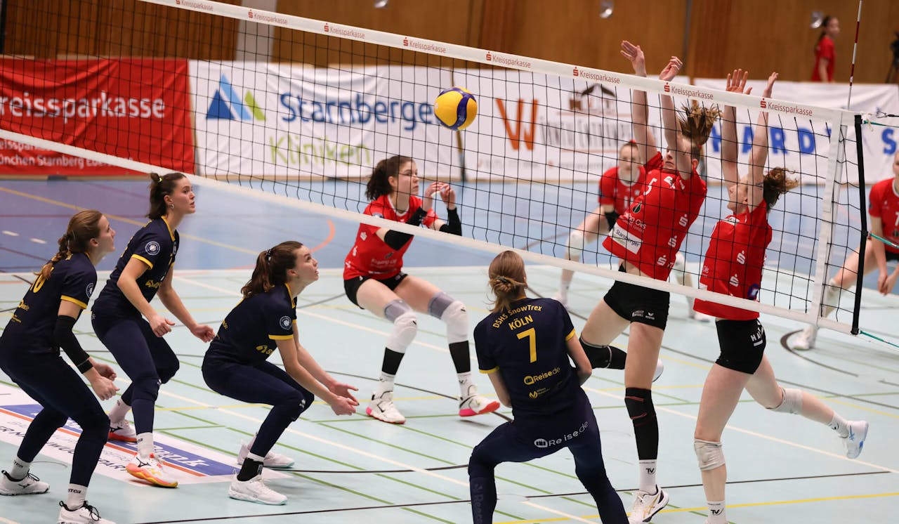 Köln ohne Punkte in Planegg: Niederlage beim TV Planegg-Krailling