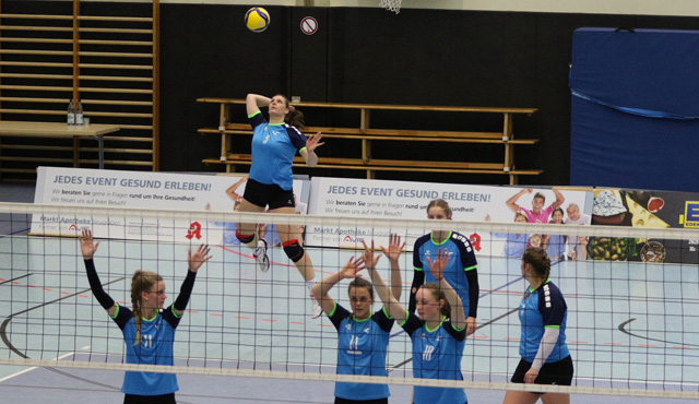 Volleyball-Team Hamburg empfängt den VSV Havel Oranienburg