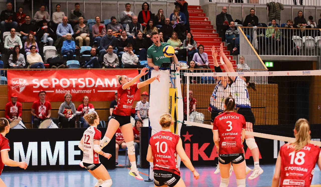 Potsdam überzeugt vor heimischer Kulisse
