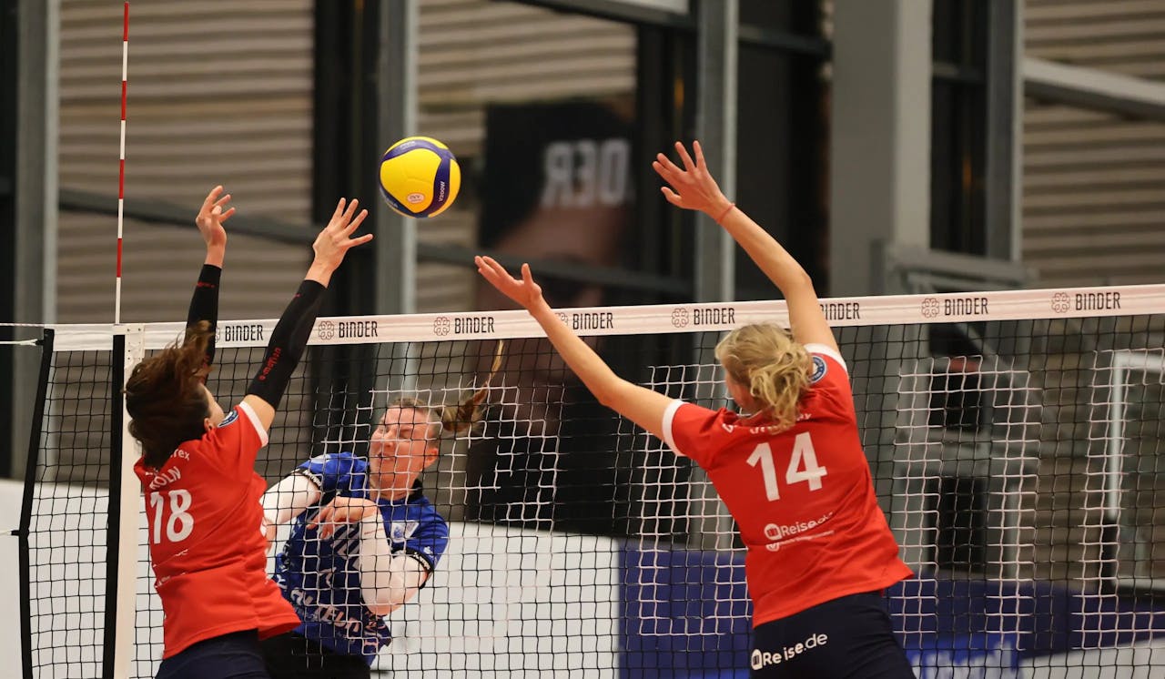 DSHS SnowTrex Köln verliert gegen Binder Blaubären Neuhaus ähm Flacht mit 1:3