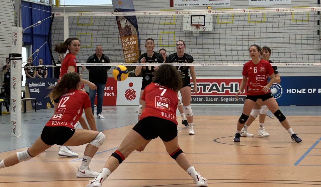 Gegen den Meister verloren