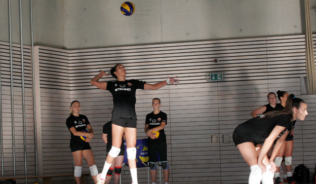 Duell NawaRo vs. Rote Raben in Wörth verspricht echter Volleyball-Leckerbissen zu werden