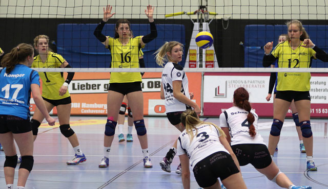 Das Volleyball-Team Hamburg gewinnt gegen VCO Schwerin
