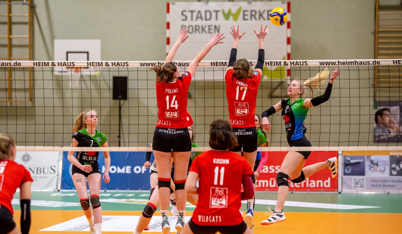 Wildcats mit Fragezeichen