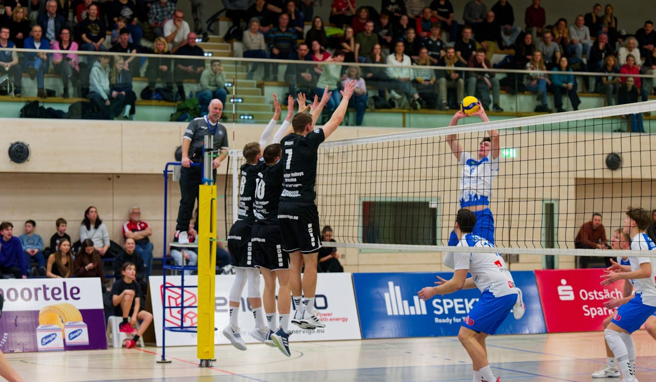 Playoffs in Reichweite für Dresden