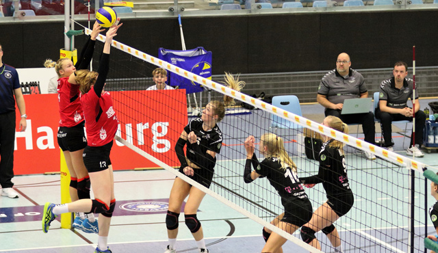 Hamburger Volleyball-Damen geben nicht auf